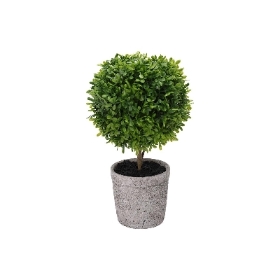 Buxus Ball In Pot 39cm