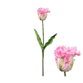 Pink Tulip 72cm