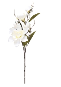 White Magnolia Stem 94cm