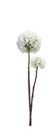 Allium Stem 81cm