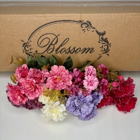 48 x Ruffled Peony Bush 30cm