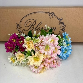 48 x Astrantia Bush 30cm