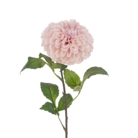 Pink Pom Pom Dahlia 74cm