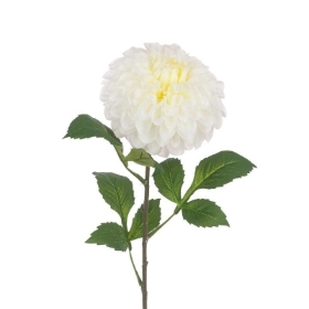 White Pom Pom Dahlia 74cm