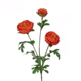 Orange Fluffy Ranunculus 65cm