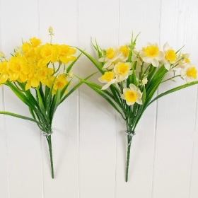 Yellow Mini Daffodil Bush 30cm