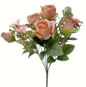 Peach Rose, Bud & Foliage Bush 30cm