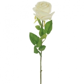 Ivory Harper Rose 62cm
