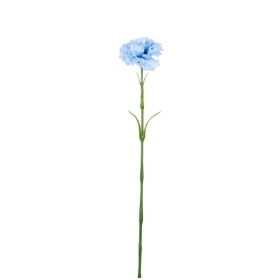 Pale Blue Fluffy Carnation 57cm