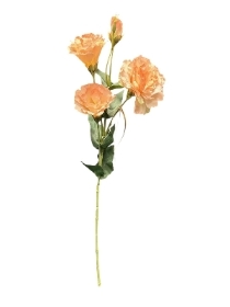Peach Lisianthus 68cm