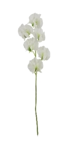 White Sweetpea Spray 42cm