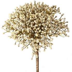 Cream Gyp Bundle 32cm