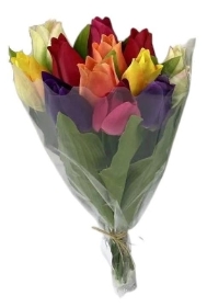 Multi Colour Tulip Bundle 38cm
