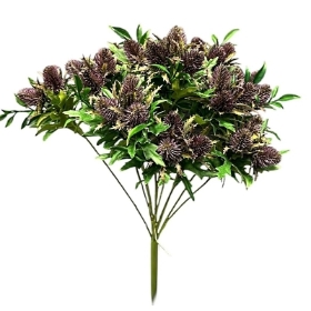 Purple Green Thistle Bush 50cm
