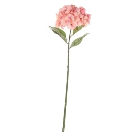 Peach Hydrangea 68cm