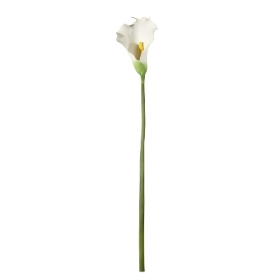 White Calla 80cm