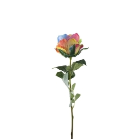 Rainbow Rose 58cm