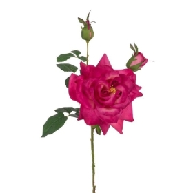Cerise Reflex Rose 72cm