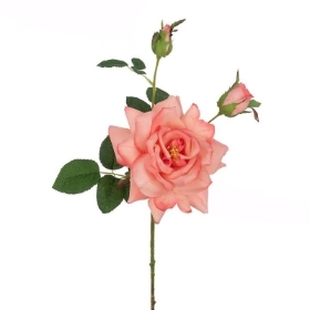 Coral Reflex Rose 72cm