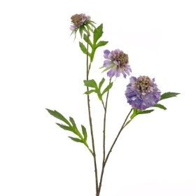 Blue Scabious 64cm
