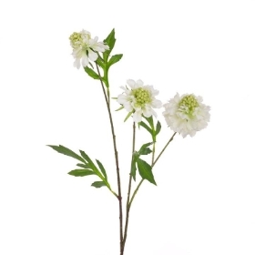 White Scabious 62cm
