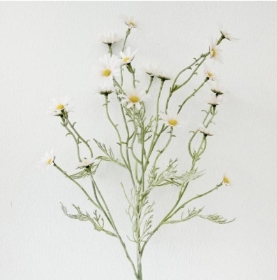 Ivory Flocked Daisy Stem 73cm