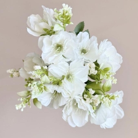 White Vintage Helebore Bush 35cm