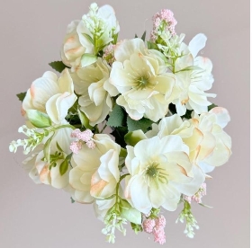 White & Pink Vintage Helebore Bush 35cm