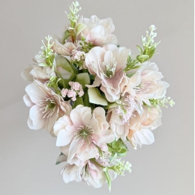 Light Pink Vintage Helebore Bush 35cm