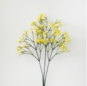 Yellow Cottage Daisy 70cm