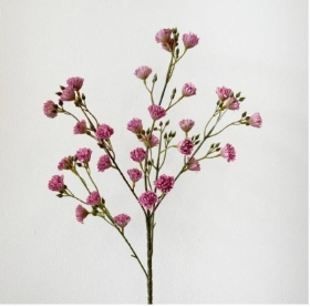 Plum Mini Chrys 83cm