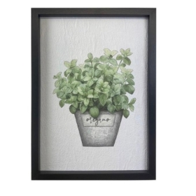 Oregano Wall Art 36cm