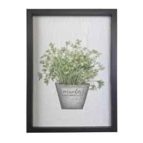 Coriander Wall Art 36cm