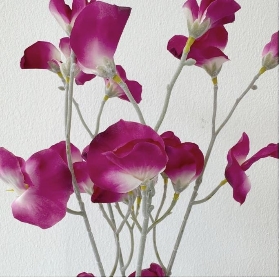 Dark Pink Sweetpea Bundle 49cm