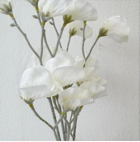 White Sweetpea Bundle 49cm