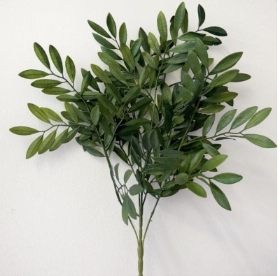 Dark Green Olive Bush 60cm