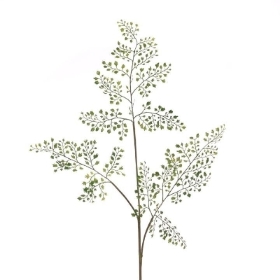 Maidenhair Fern 86cm