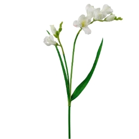 Ivory Freesia 55cm