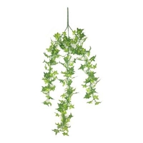 Green Mini Ivy Trail 68cm