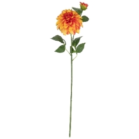 Orange Orlando Dahlia 60cm