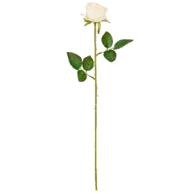 Cream Gabriella Rose 53cm