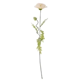 Cream Poppy 70cm