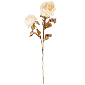 White Dry Peony 68cm