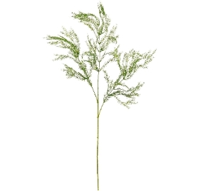 Wild Asparagus Spray 90cm