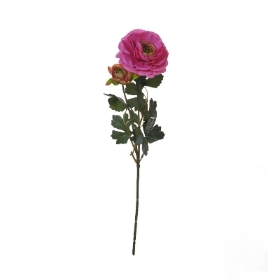 Pink Ranunculus 50cm