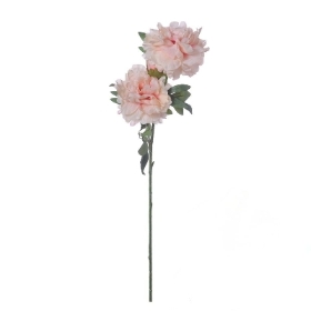 Salmon Peony 85cm