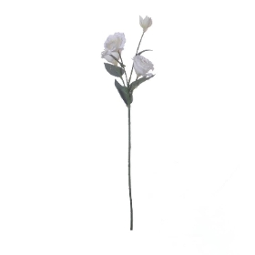 Ivory Lisianthus 70cm