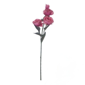 Pale Peach Lisianthus 70cm