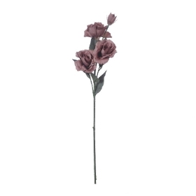 Cappuccino Lisianthus 70cm