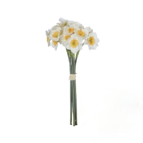 Cream Narcissus Bundle 40cm